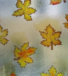 Three Weeks in Rehab – Day Five